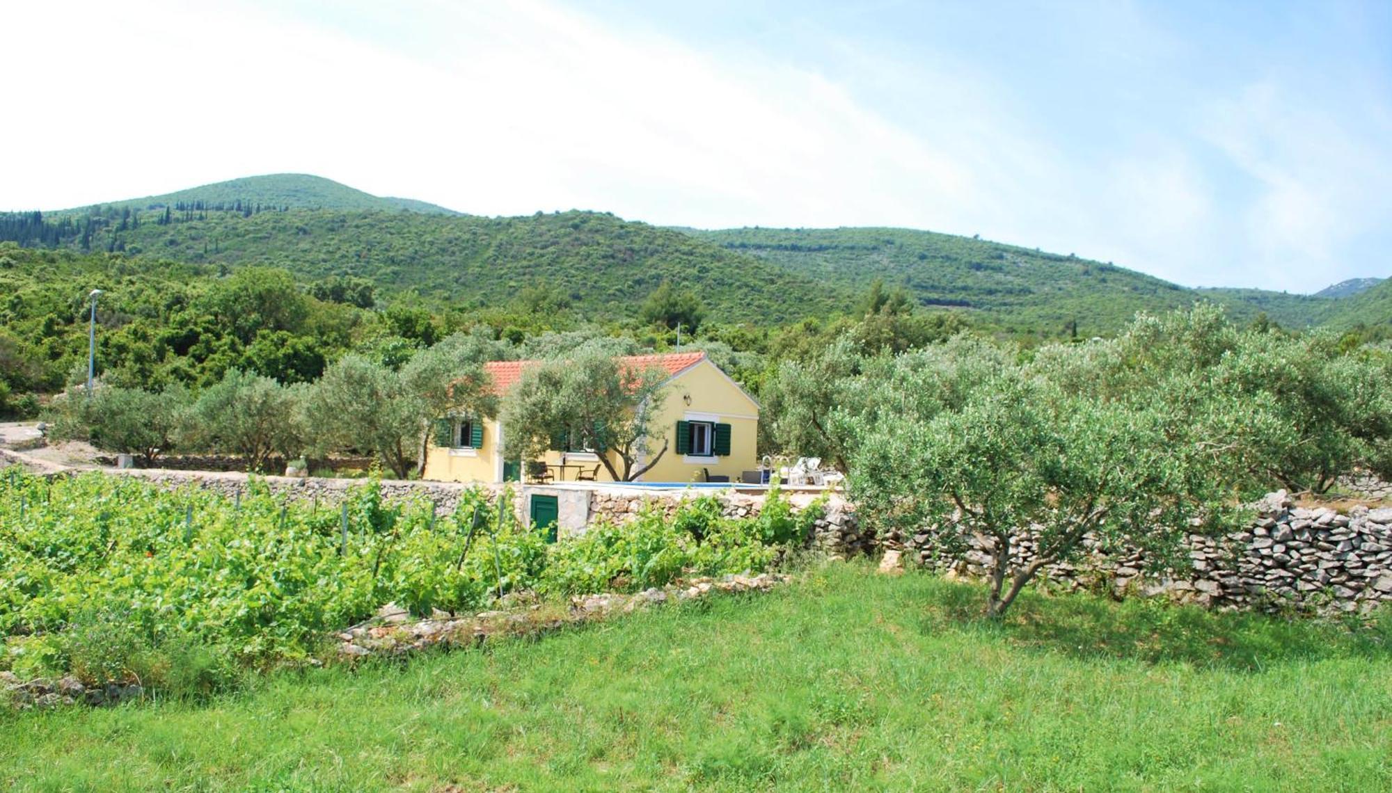 Vineyard House & Olive Grove House * Račišće