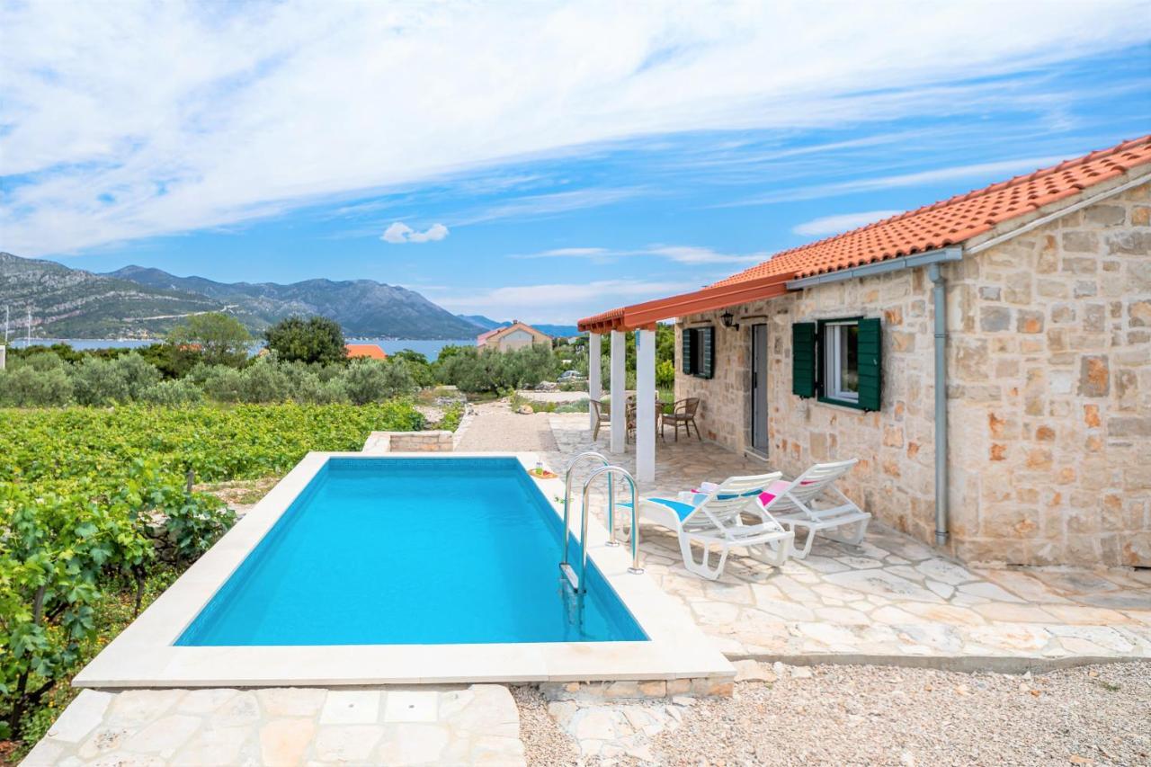 Semesterbostad Vineyard House & Olive Grove House