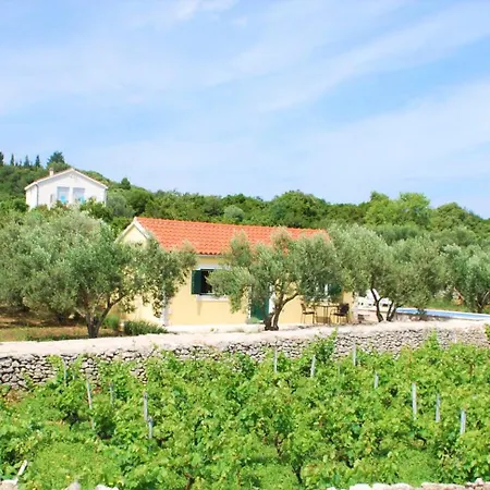 Vineyard House & Olive Grove House Villa Racisce Exterior photo
