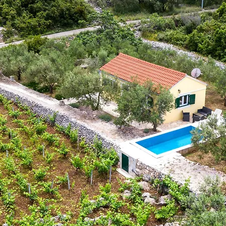 Vineyard House & Olive Grove House Villa Racisce Exterior photo