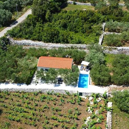 Vineyard House & Olive Grove House Villa Racisce Exterior photo