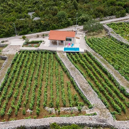 Vineyard House & Olive Grove House Villa Racisce Exterior photo