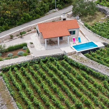 Vineyard House & Olive Grove House Villa Racisce Exterior photo