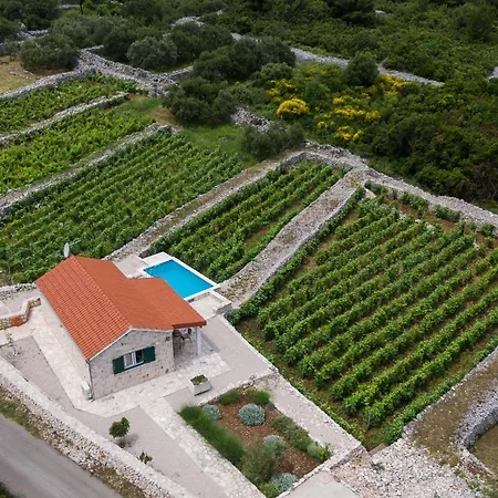 Vineyard House & Olive Grove House Villa Racisce Exterior photo
