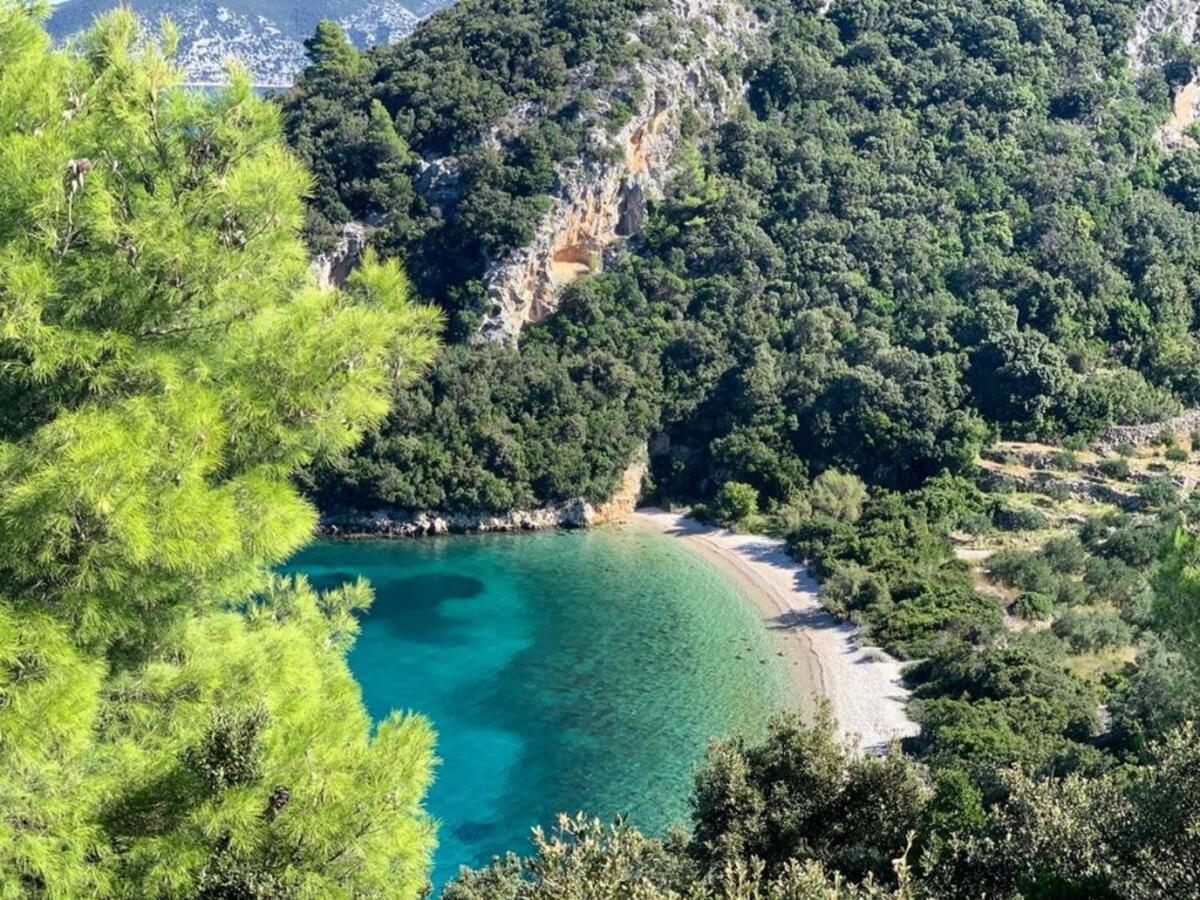 Vineyard House & Olive Grove House Holiday home