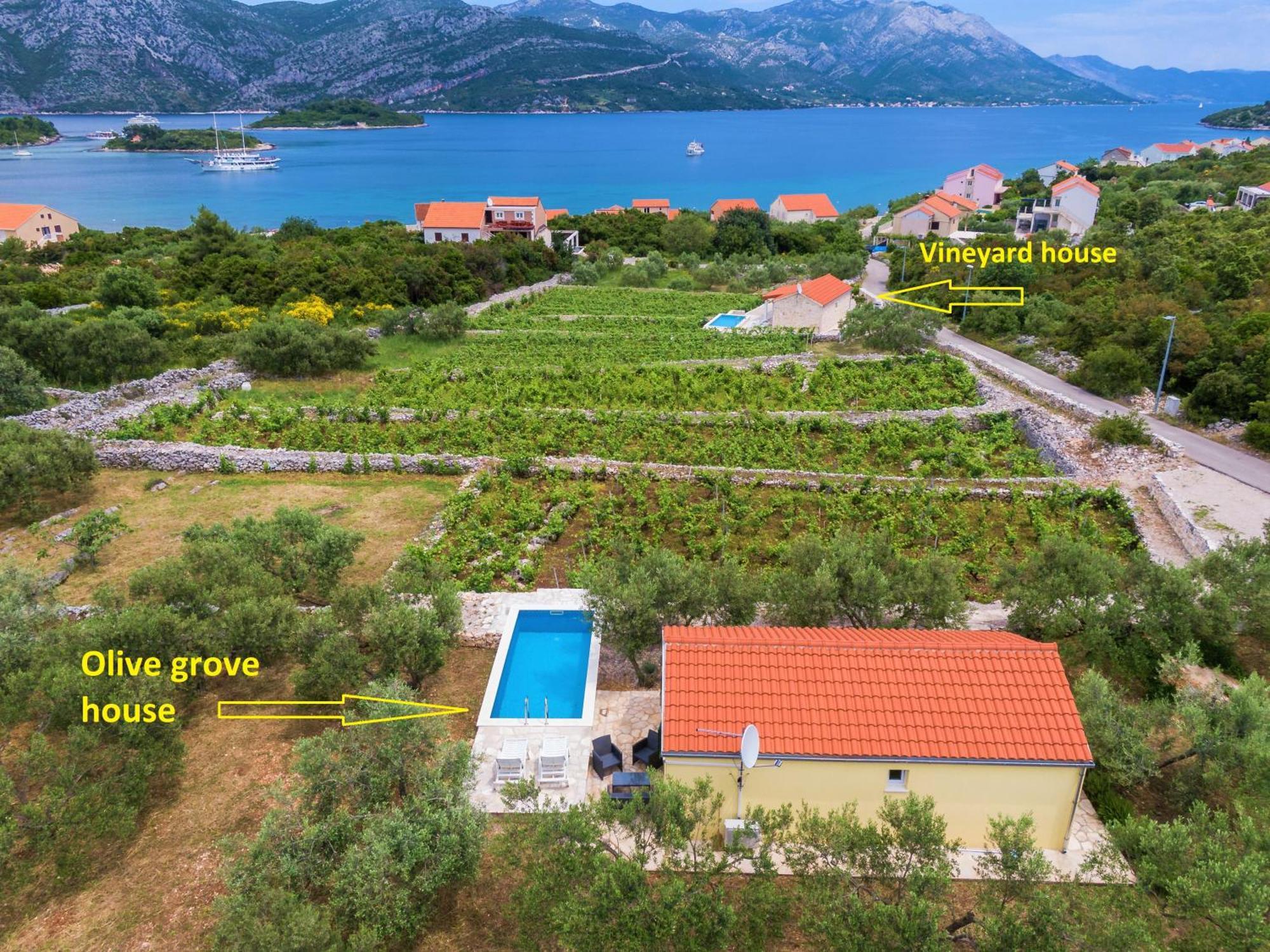 Vineyard House & Olive Grove House * Racisce