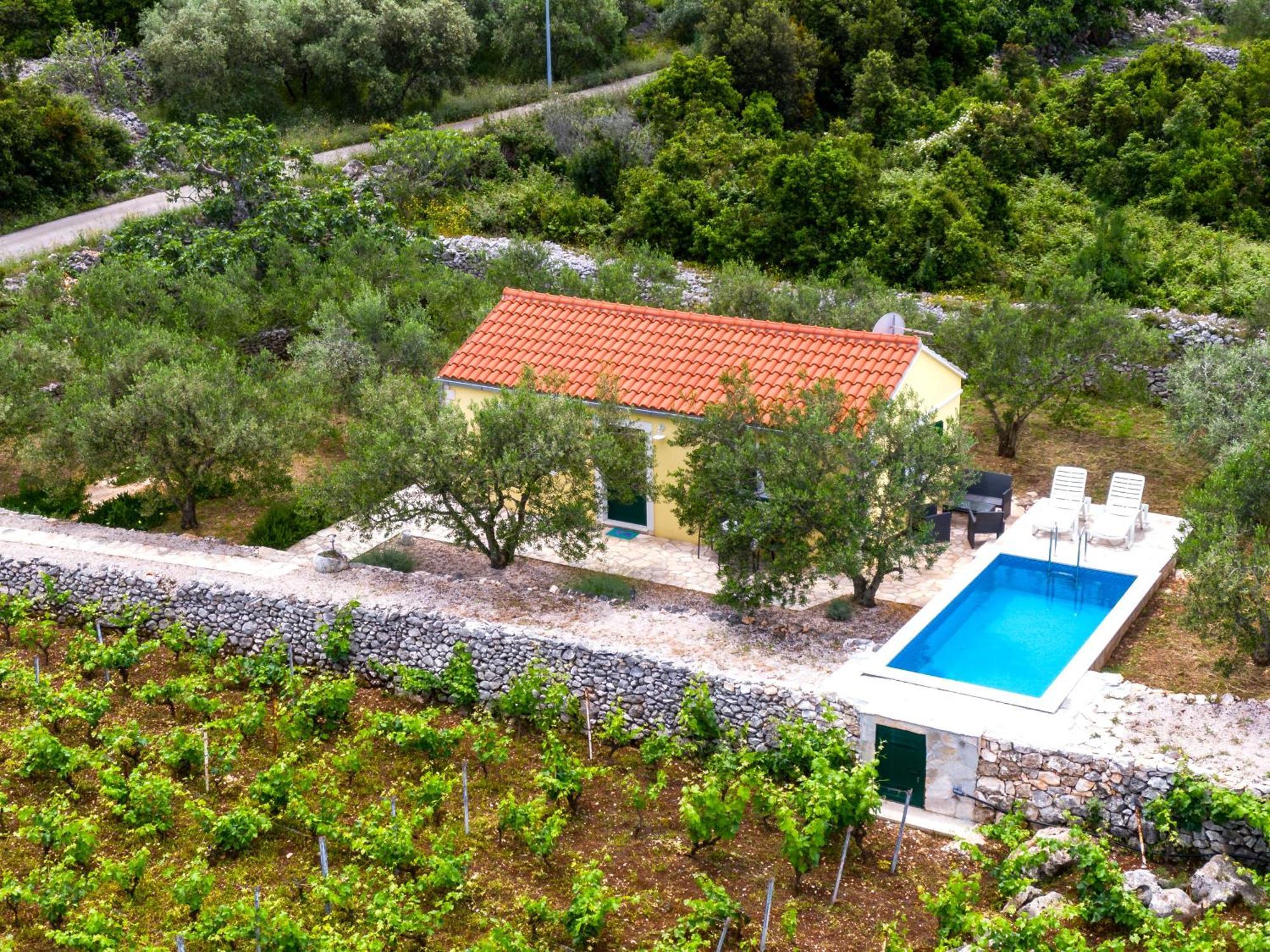 Vineyard House & Olive Grove House Holiday home Racisce