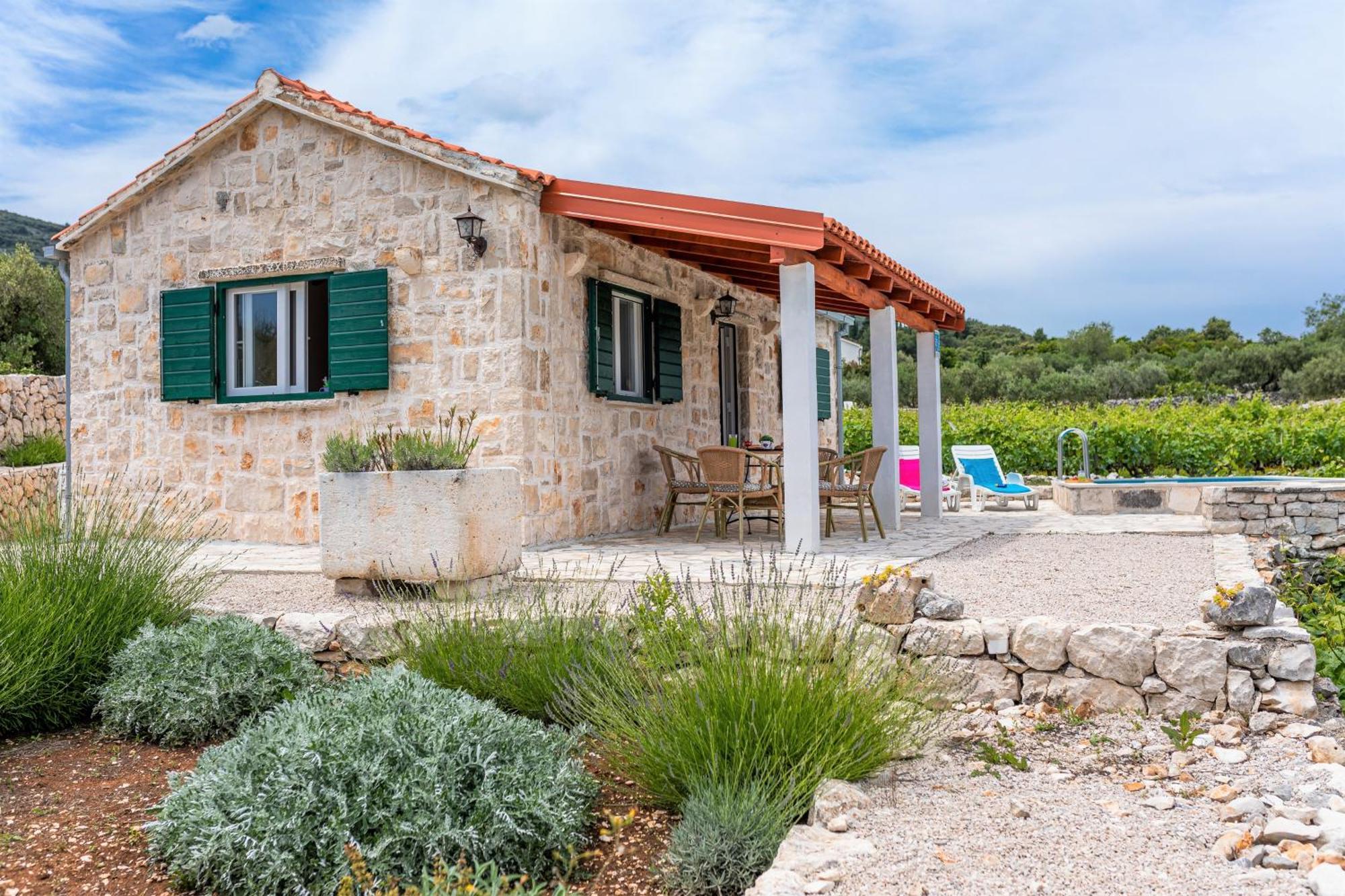 Holiday home Vineyard House & Olive Grove House Racisce