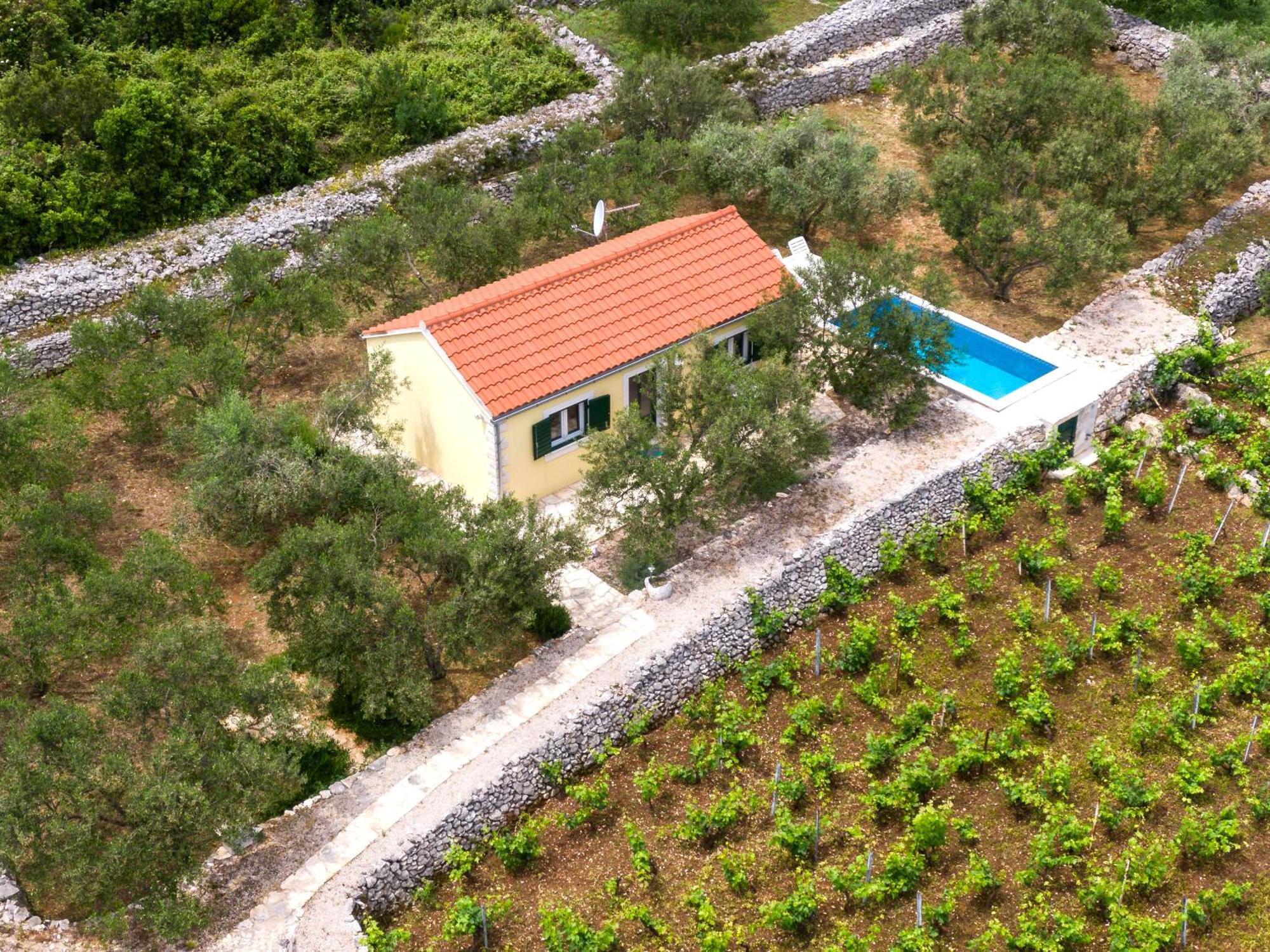 Vineyard House & Olive Grove House Racisce