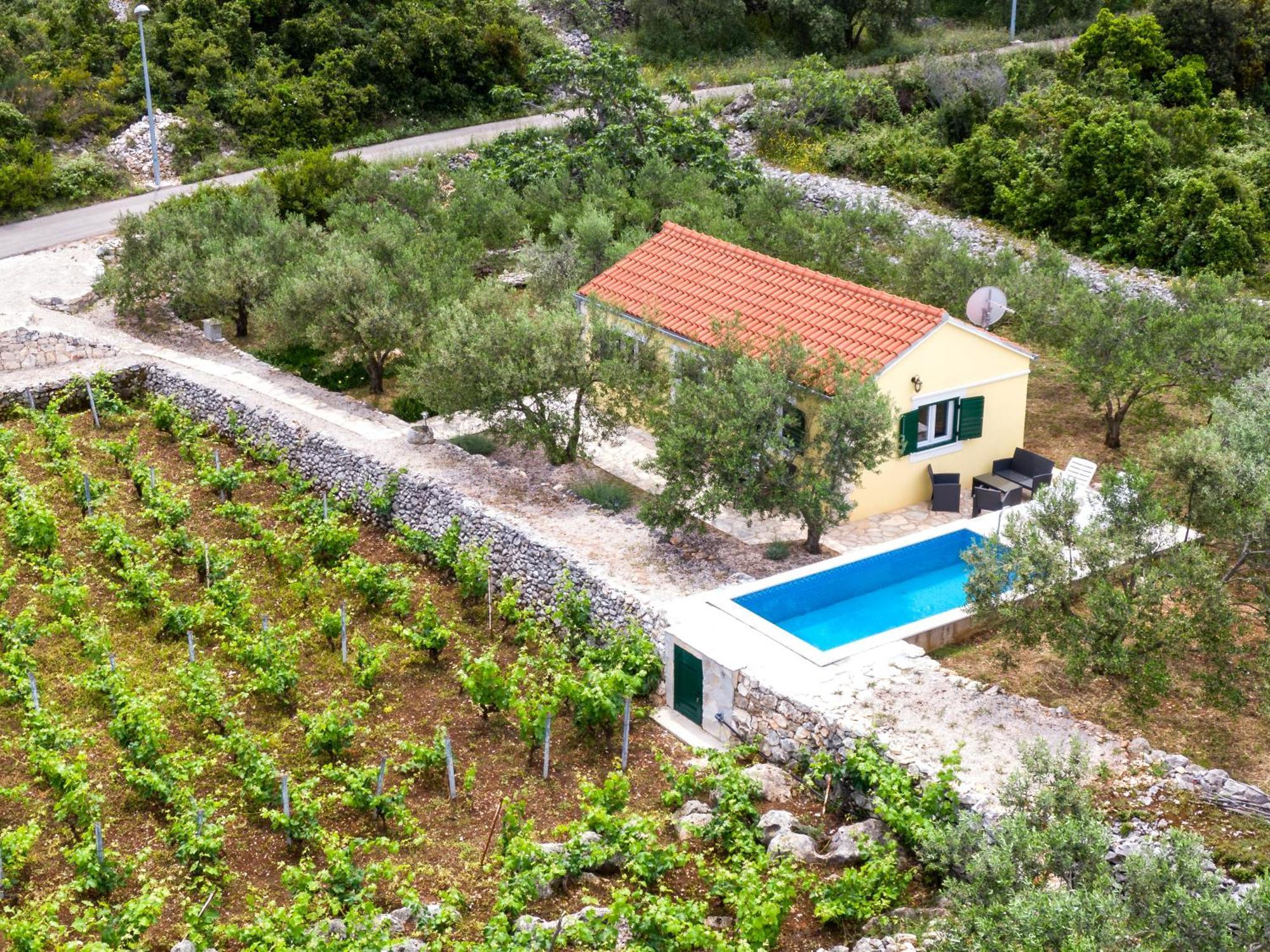 Vineyard House & Olive Grove House