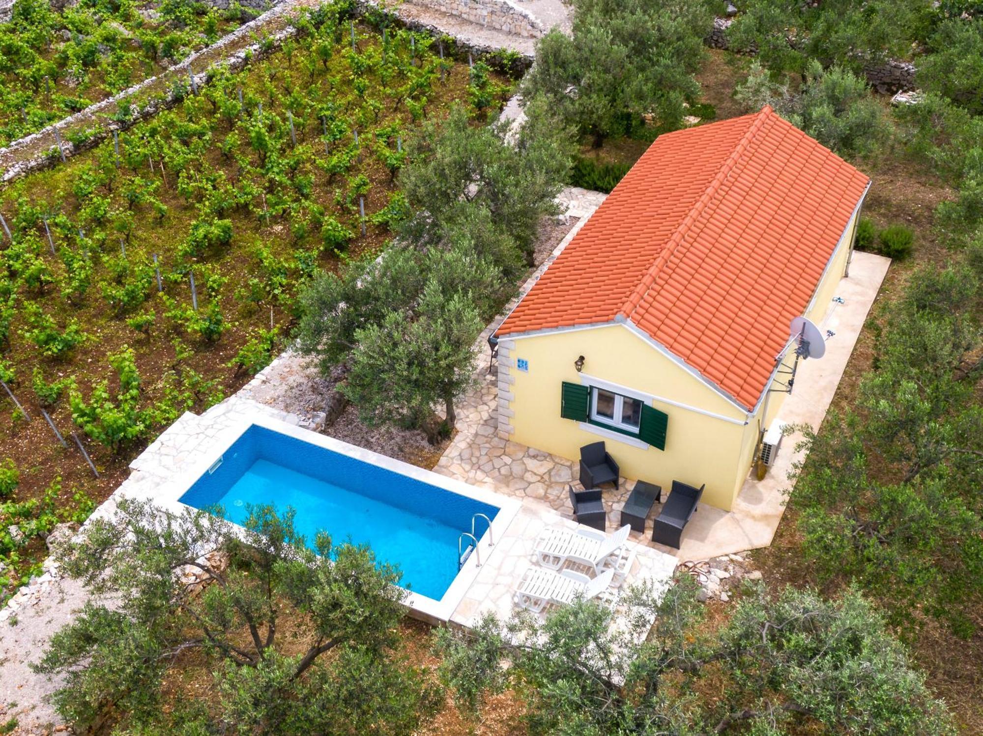 Vineyard House & Olive Grove House Holiday home