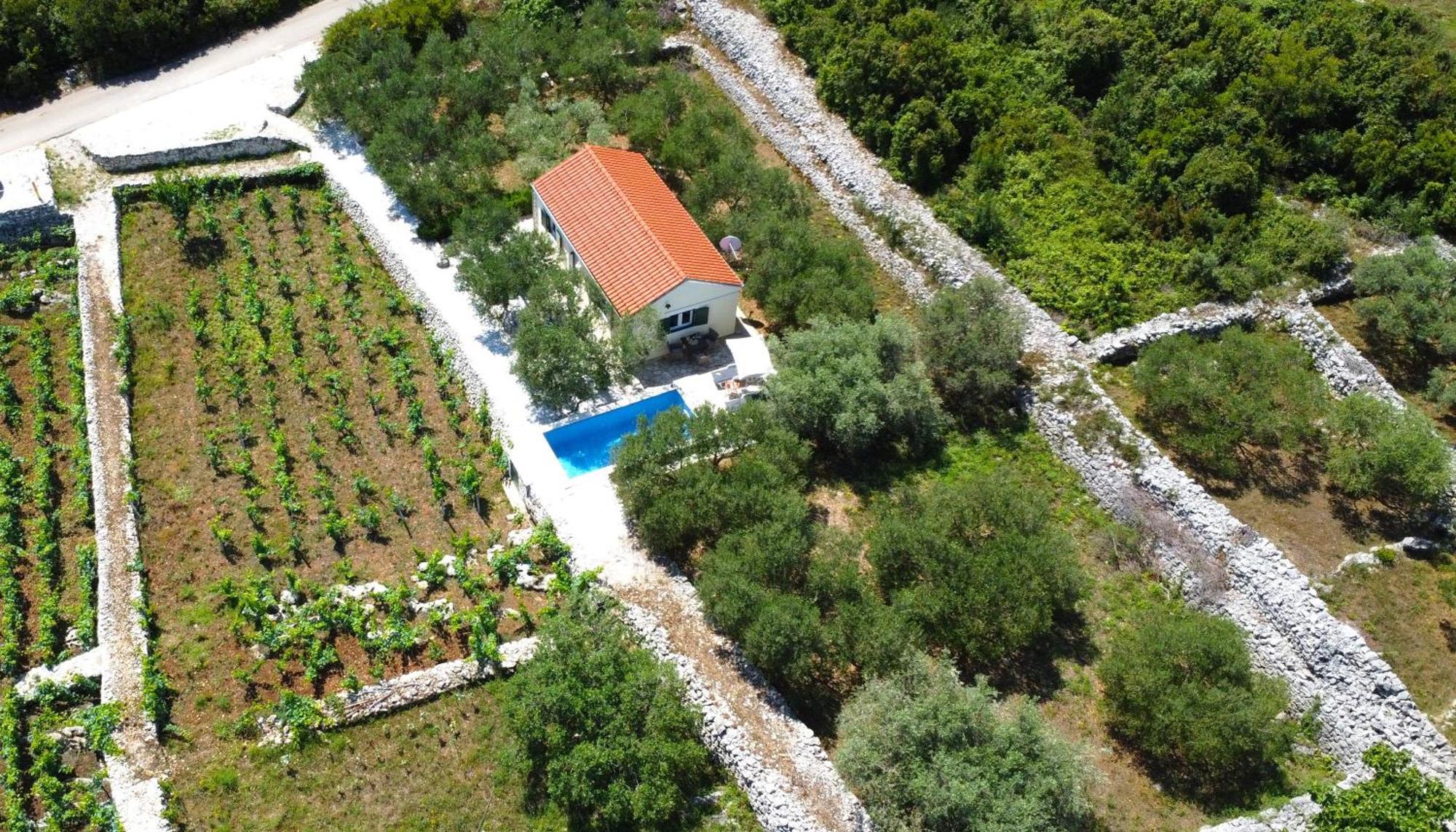 Vineyard House & Olive Grove House *