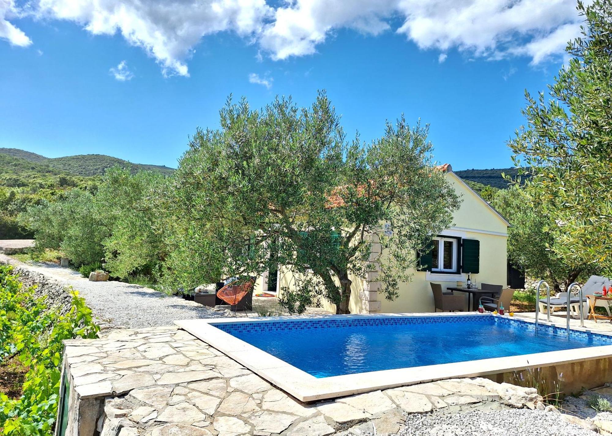 Vineyard House & Olive Grove House Holiday home *