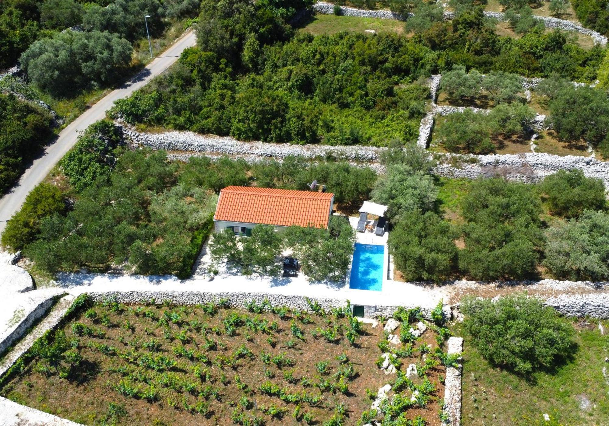 Holiday home Vineyard House & Olive Grove House Racisce