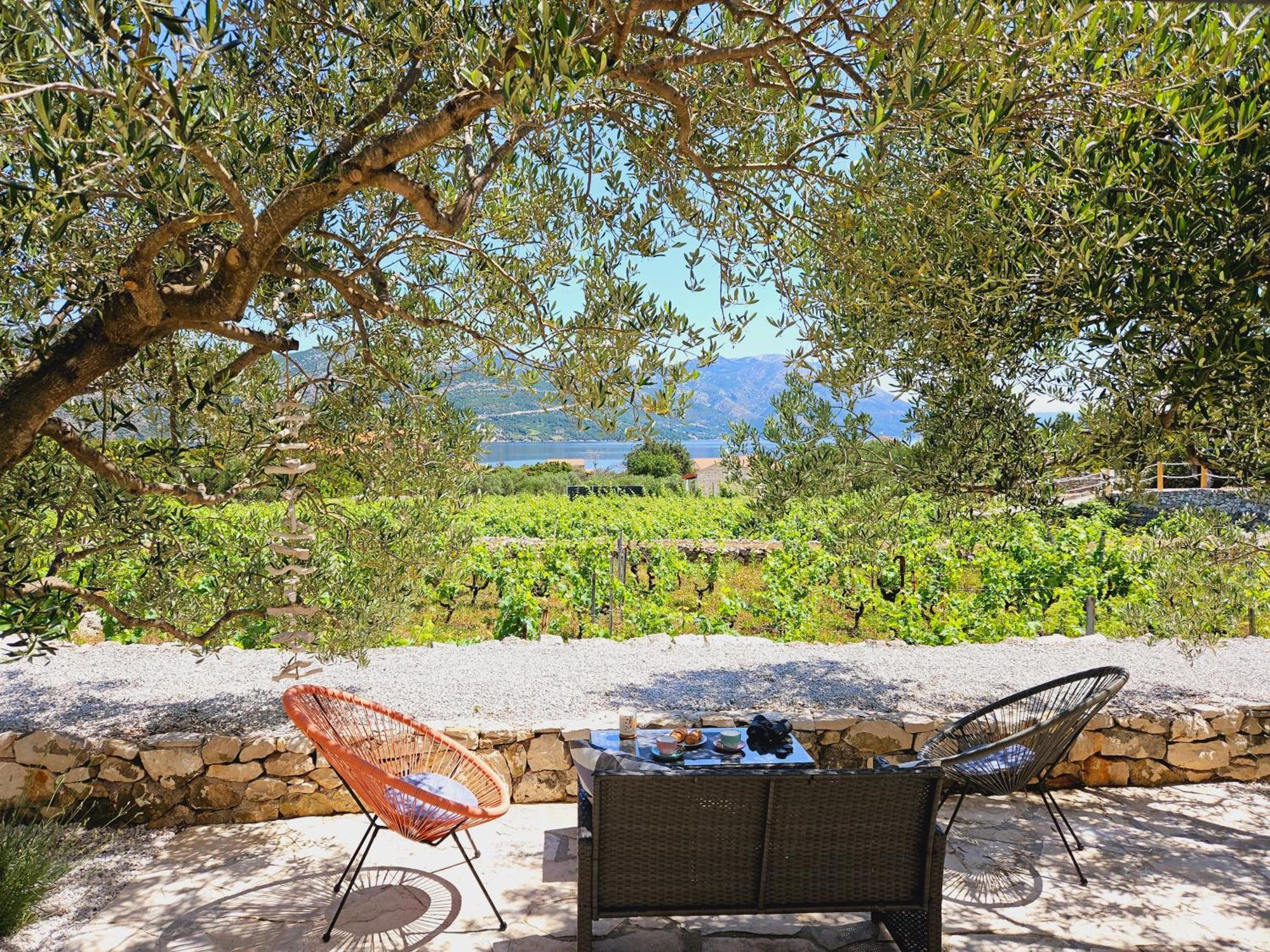 Holiday home Vineyard House & Olive Grove House