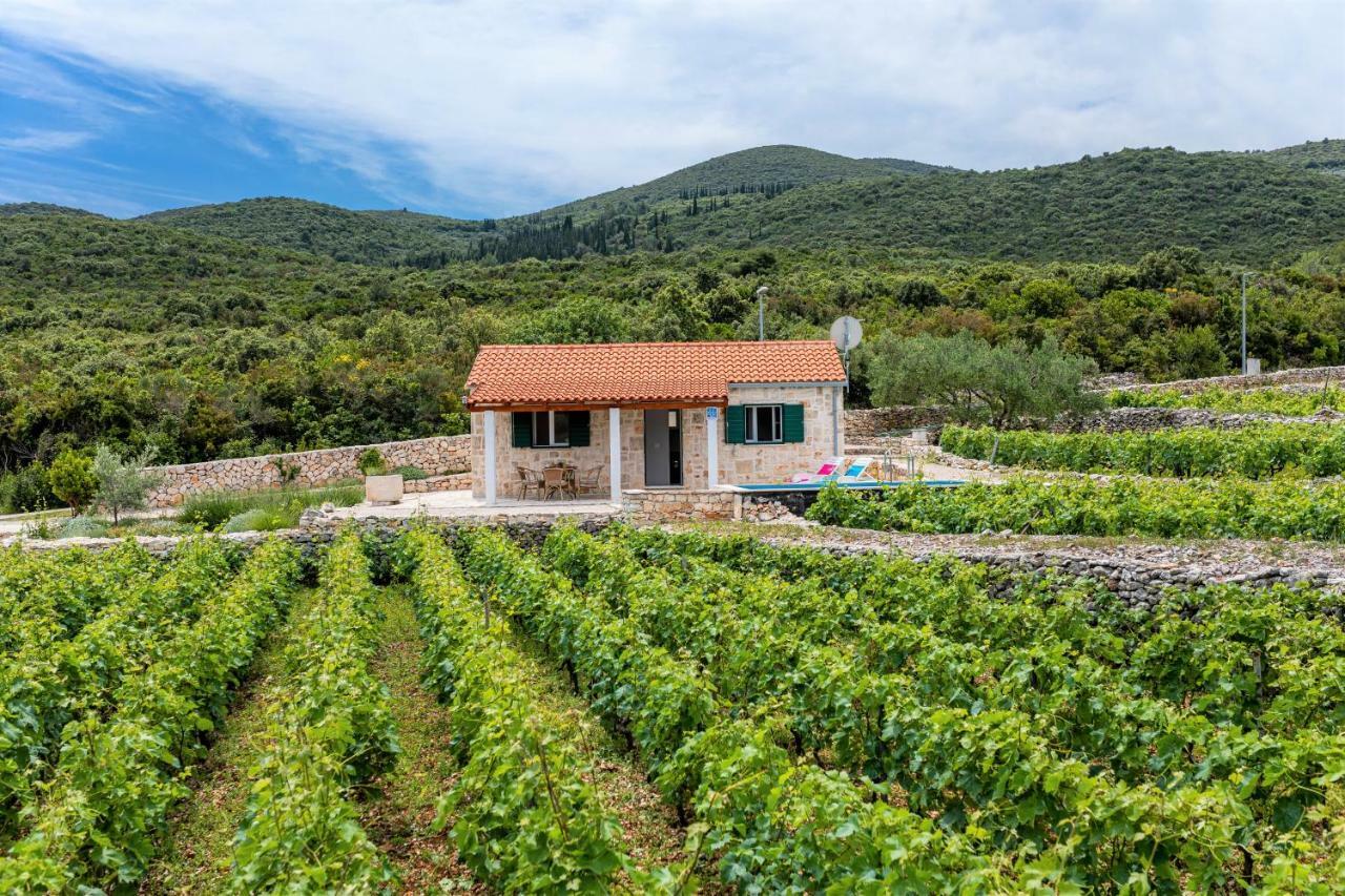 Vineyard House & Olive Grove House Holiday home Racisce