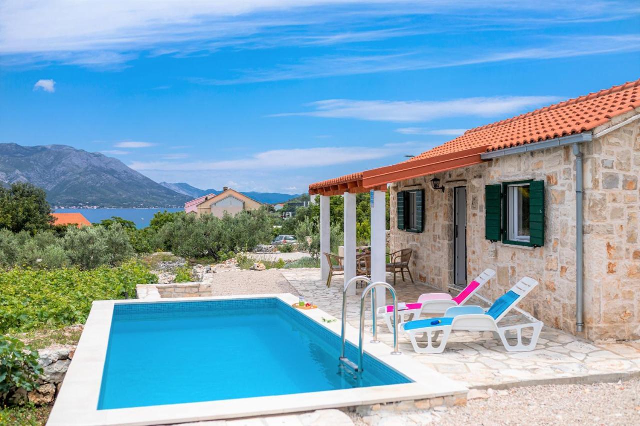 Vineyard House & Olive Grove House Racisce