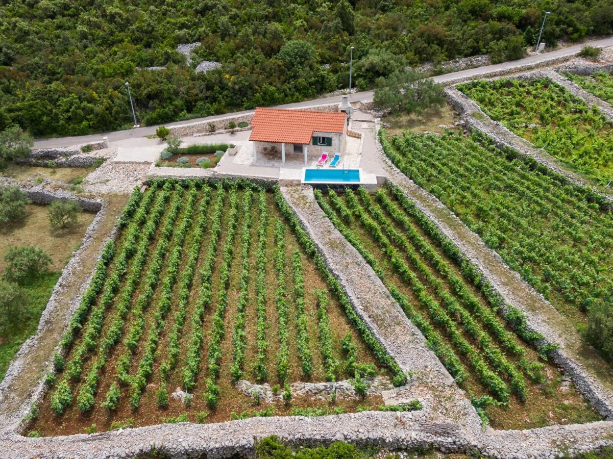 Holiday home Vineyard House & Olive Grove House
