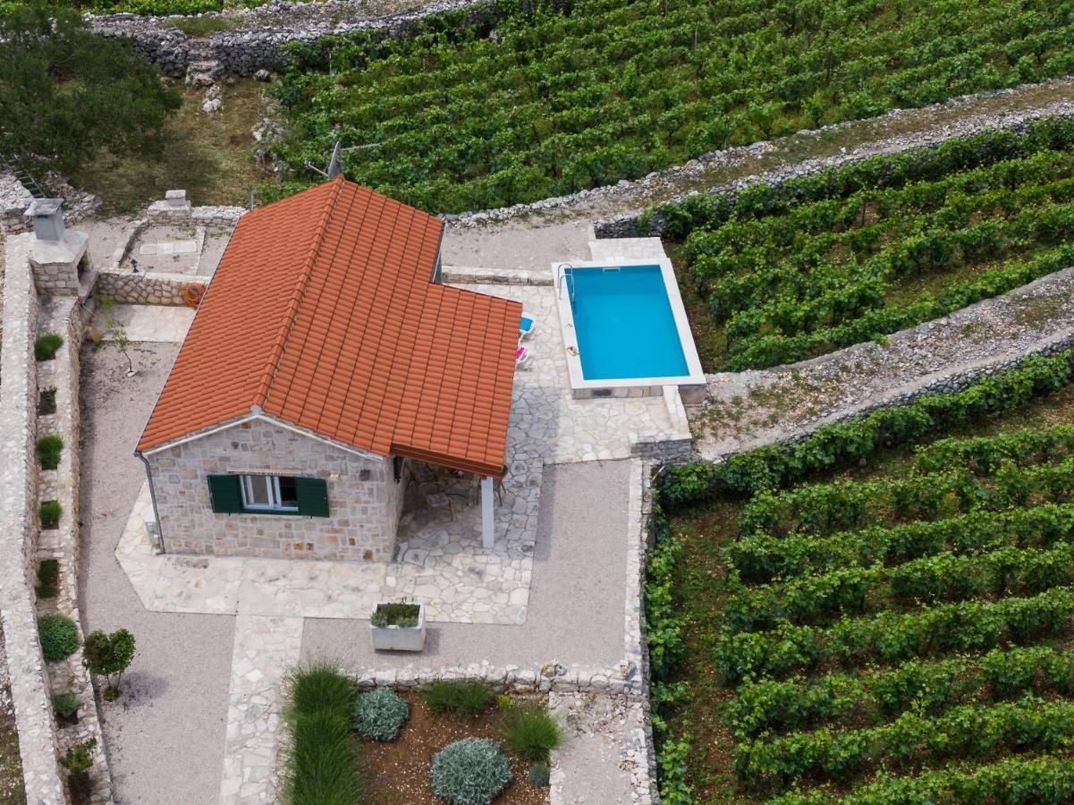 Holiday home Vineyard House & Olive Grove House *