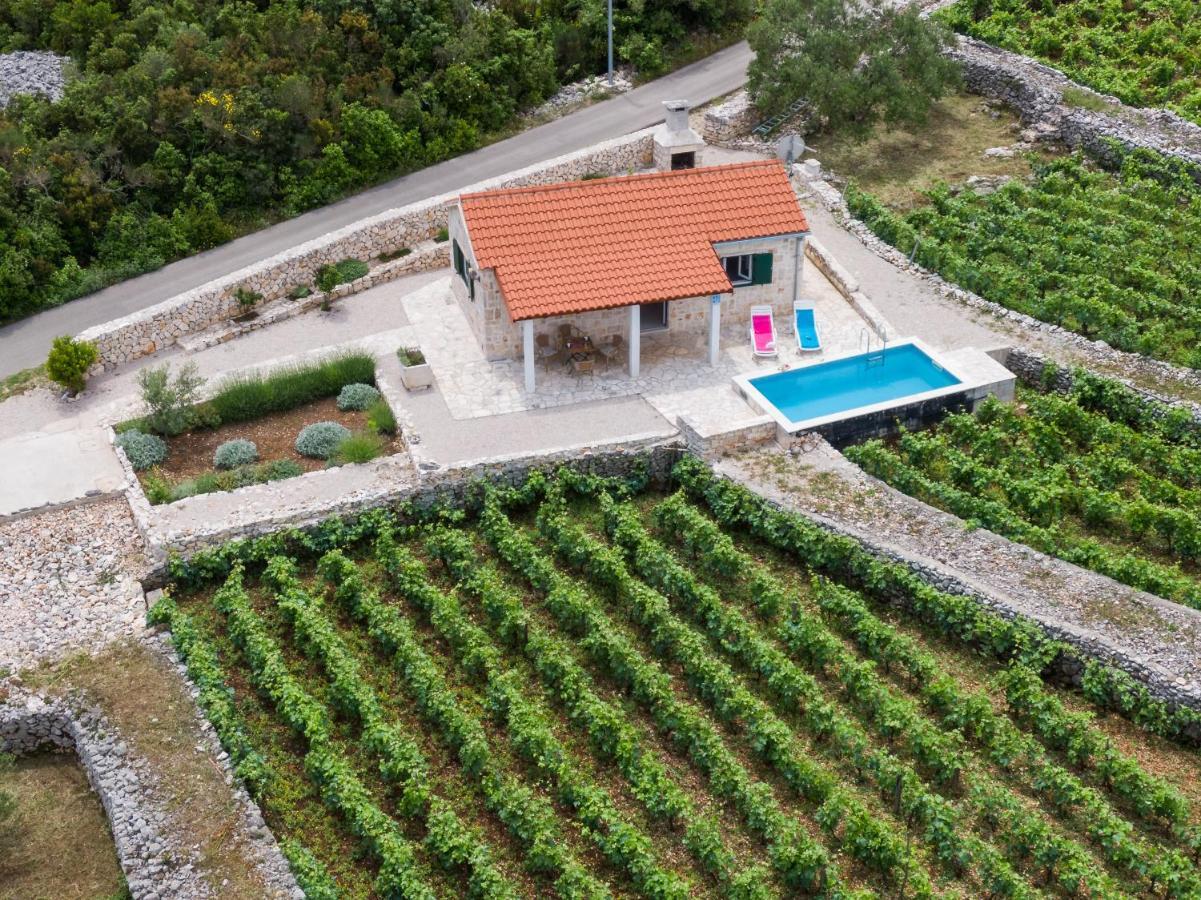 Holiday home Vineyard House & Olive Grove House Racisce