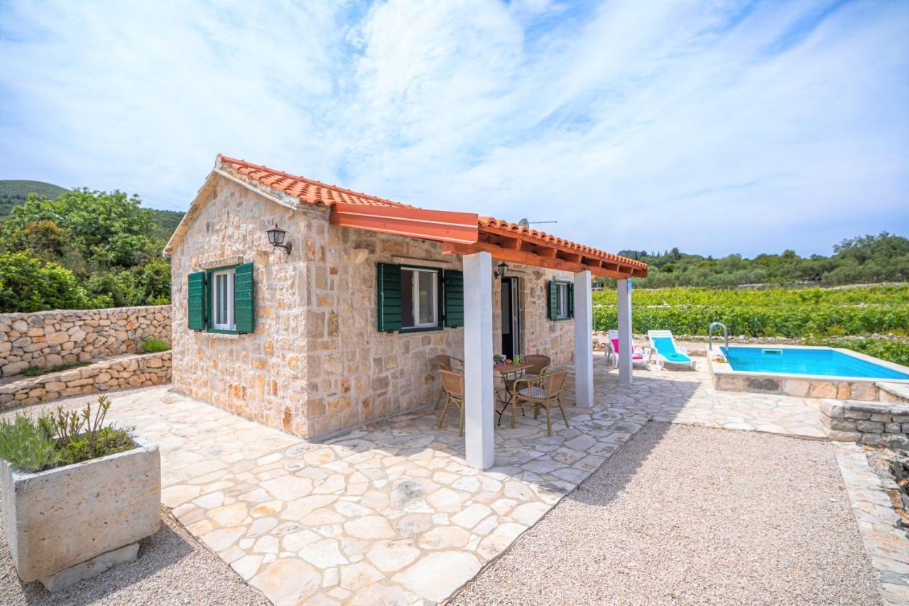 Vineyard House & Olive Grove House Racisce