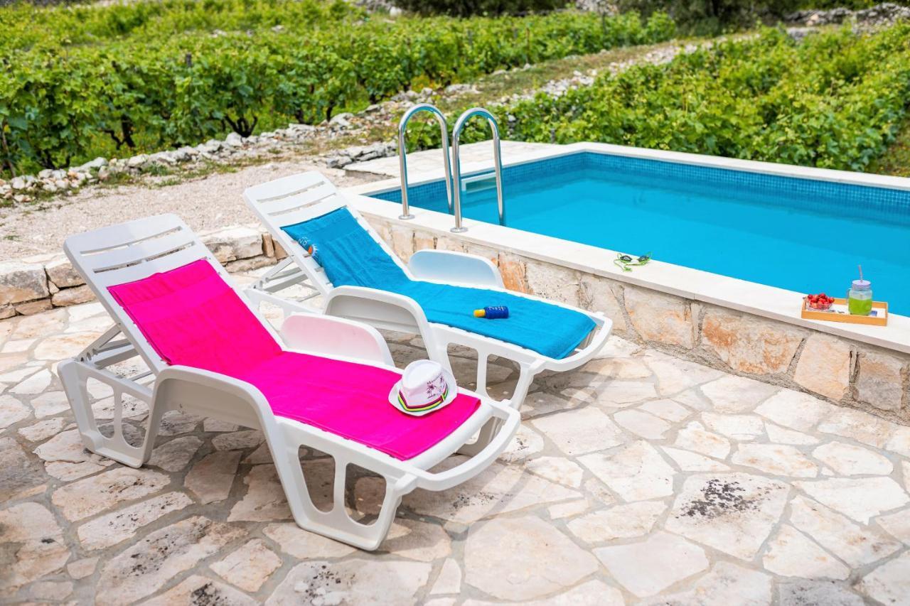 Vineyard House & Olive Grove House Holiday home Racisce