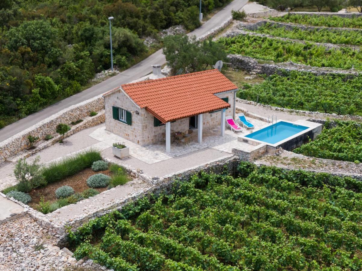 Holiday home Vineyard House & Olive Grove House Racisce